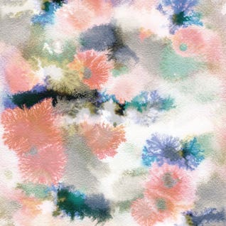 Corals by Cayena Blanca