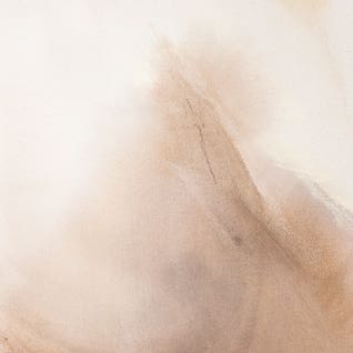 Pantone 2025 Mocha Mousse