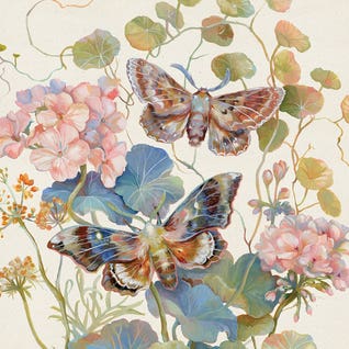 Floral Moth Geranium by Clara McAllister