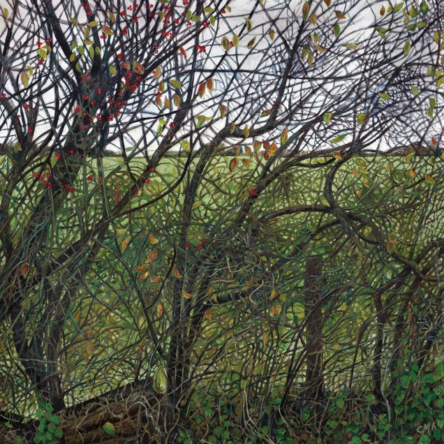 The Wren's Map by Catherine Patrickson
