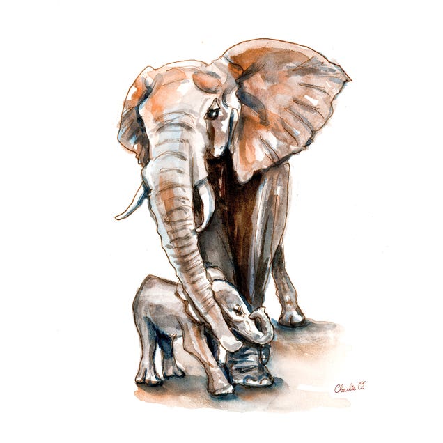 Elephant Appreciation Day by Charlie O'Shields