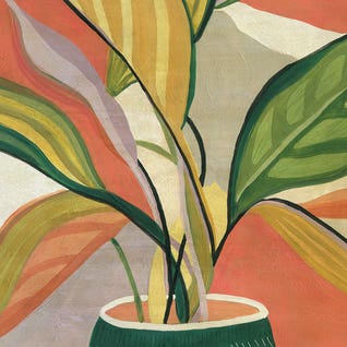 Potted Bird of Paradise by Carol Robinson