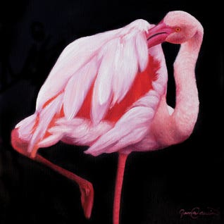 Flamingo I by James Corwin