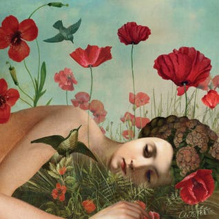 In The Poppy Field by Catrin Welz-Stein
