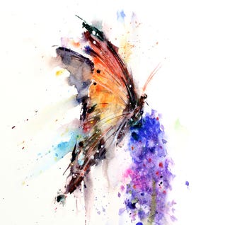 Butterfly Art