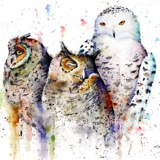 Owls Don't Sleep by Dean Crouser