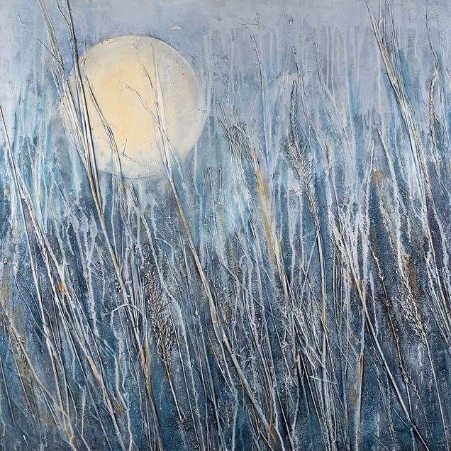 Breath Of The Earth Winter Sun by Daniela Carletti