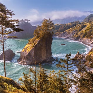 Daniel Forster RO169 Square