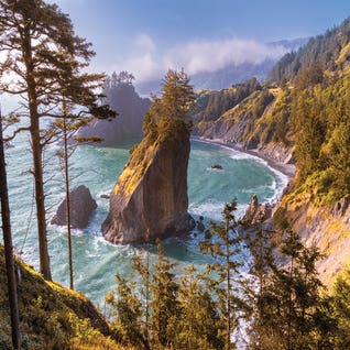 Daniel Forster RO169 Square