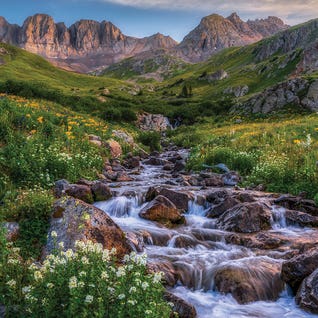 Beautiful Creek Flowing American Basin - San Juan Mountains Colorado Summer Scenery by Daniel Forster