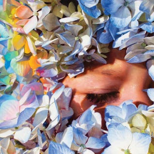 The End of Summer by David Shepherd