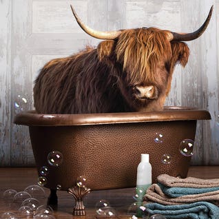 Best Sellers feature April 26