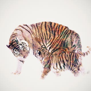 Tiger Art