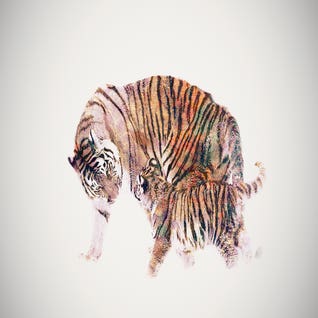 Tiger Art