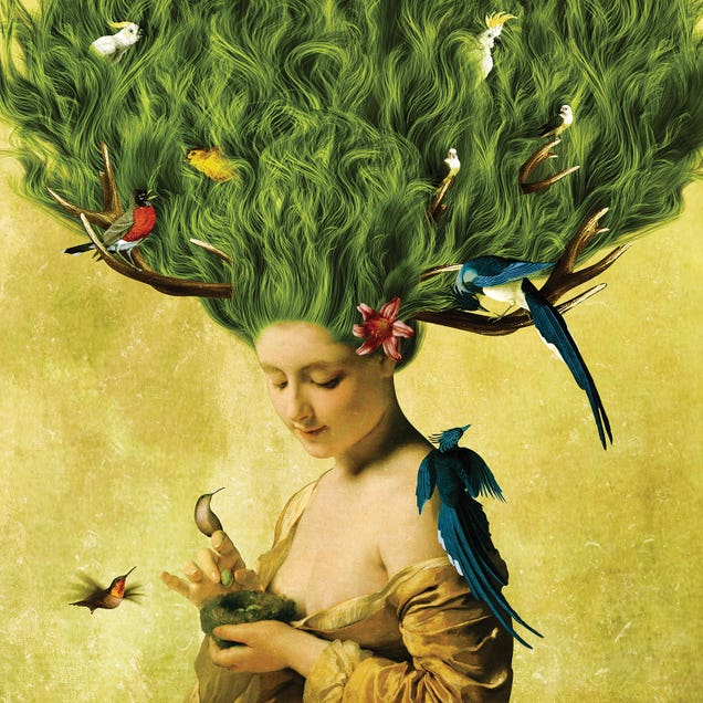 Safe Haven by Diogo VerÃssimo