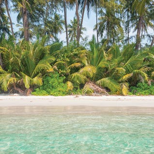 Beaches Feature - Feb 26