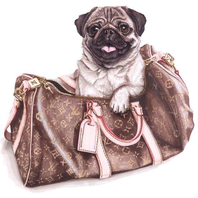 Puddog In Lv Bag by Elizaveta Molchanova