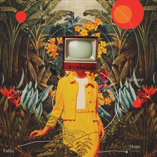 She Came From The Wilderness by Frank Moth