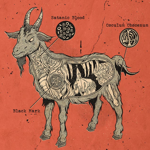 Anatomical Black Goat by Anderson Green Devil