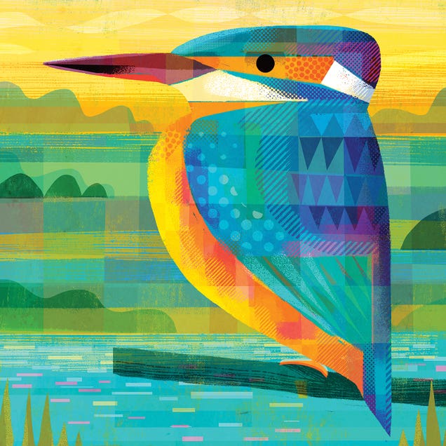 Kingfisher by Gareth Lucas