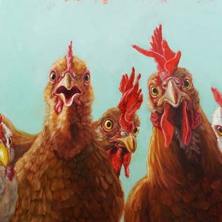 Chicken & Rooster Art