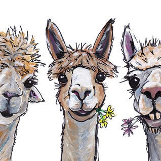 Alpacas Trio II by Hippie Hound Studios