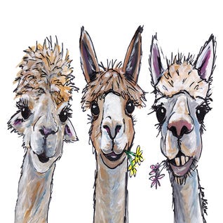 Alpacas Trio II by Hippie Hound Studios
