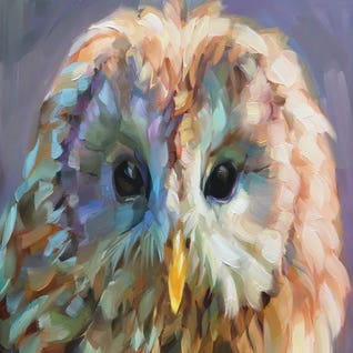 Owl Study X by Holly Storlie