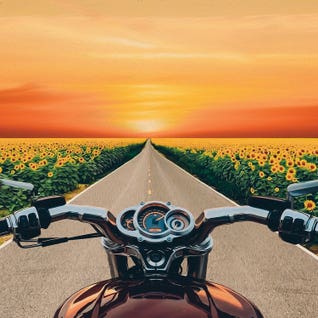 Motorcycles Art