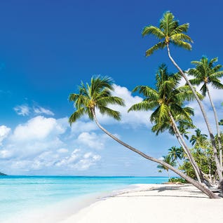 Tropical Beach With Palm... by Jan Becke