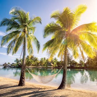 Summer Feeling On A Tropical Island In The South Sea by Jan Becke