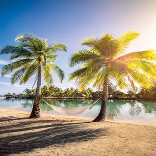 Summer Feeling On A Tropical Island In The South Sea by Jan Becke