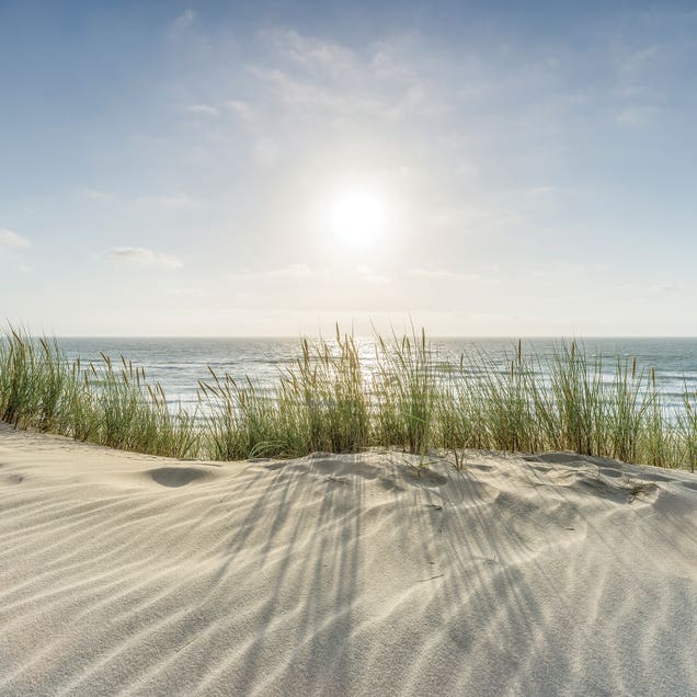 Dune Beach On A Sunny Day by Jan Becke