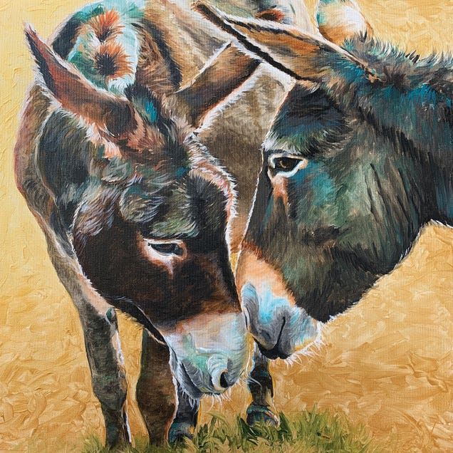 Donkey Friends by Jennifer Redstreake Geary