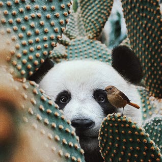 My Soul Trembled When I Saw You by Karen Cantuq