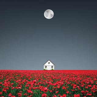 Nestled In A Bloosom by Kathrin Federer