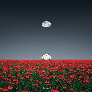 Nestled In A Bloosom by Kathrin Federer