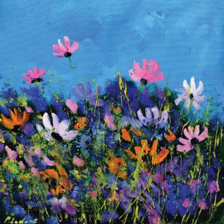 A Few Cosmos Flowers by Pol Ledent
