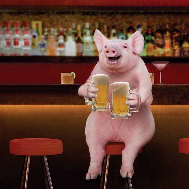 Beer Hog by Lund Roeser