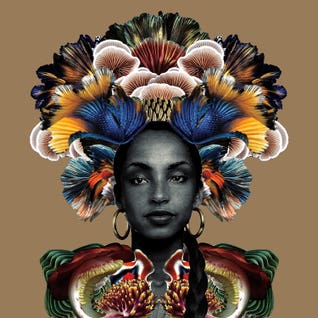 Your Love Is King by Lolita Lorenzo