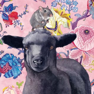 Black Sheep by Lisa Lennon