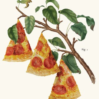 Pizza Plant by Jonas Loose