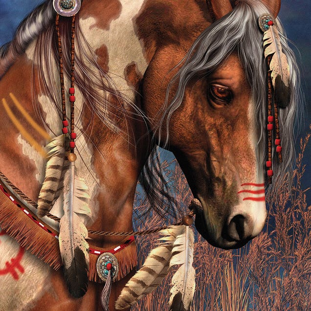 War Pony by Laurie Prindle