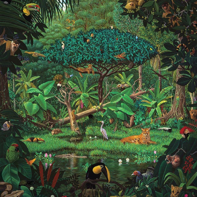 Secrets Of The Rainforest by Charles Lynn Bragg