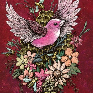 David Lozeau RO164 Square