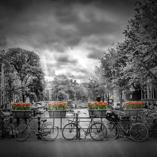 Typical Amsterdam by Melanie Viola
