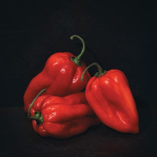 Vegetables Art