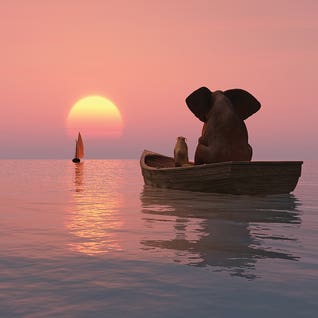 Elephant And Dog Floating On A Boat At Sunset by Mike Kiev