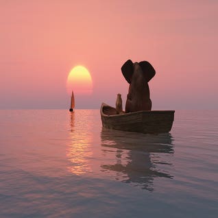 Elephant And Dog Floating On A Boat At Sunset by Mike Kiev