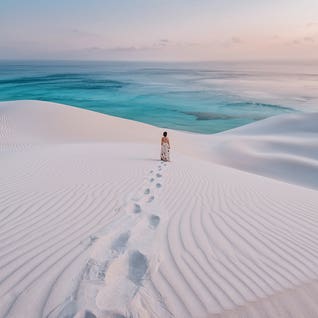 Hobopeeba RO166 Square